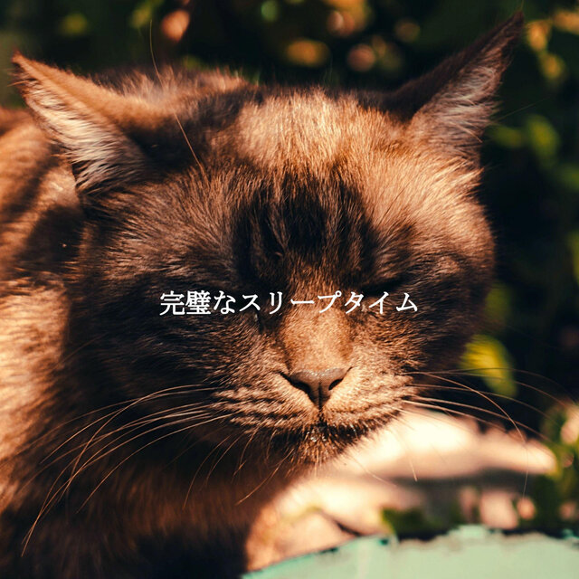 完璧なスリープタイム