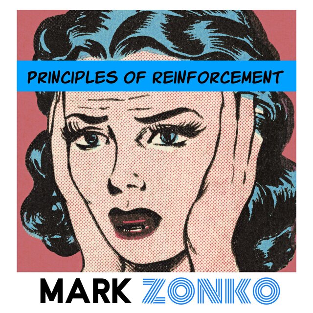Principles Of Reinforcement