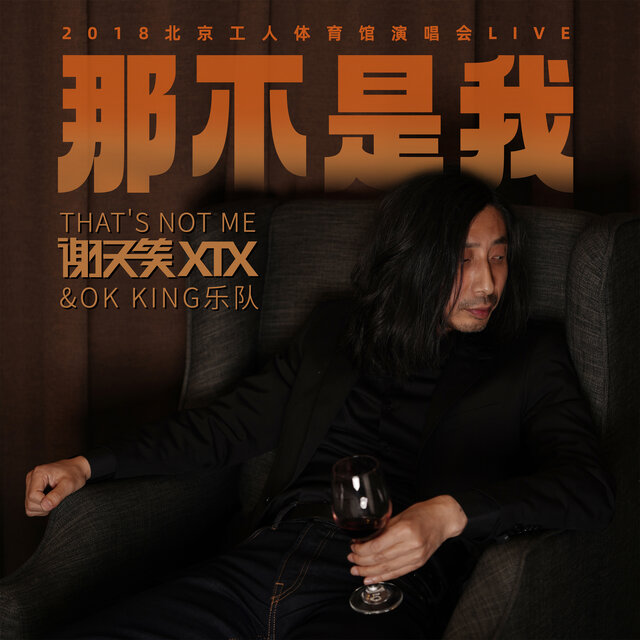 那不是我 (演唱会Live精选辑)