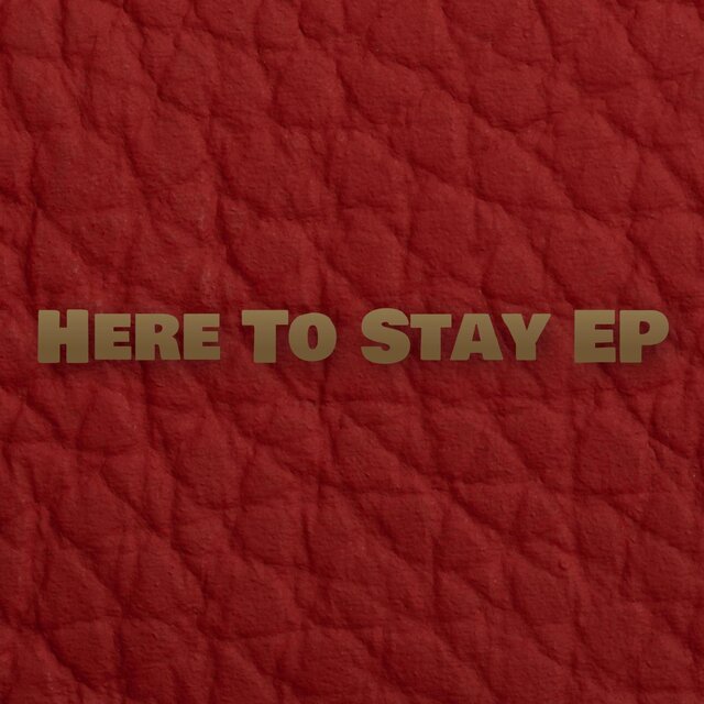 Here To Stay EP