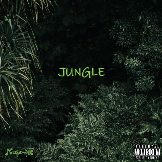 Jungle