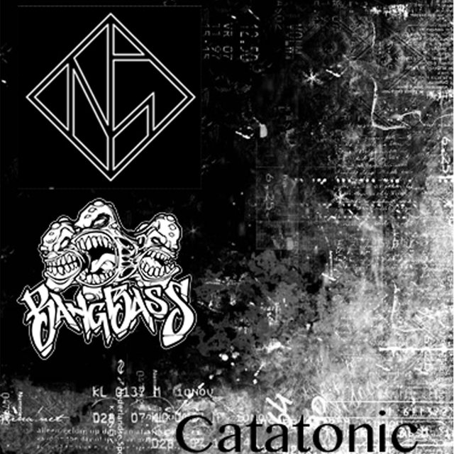 Catatonic (feat. NegativeGlitch)