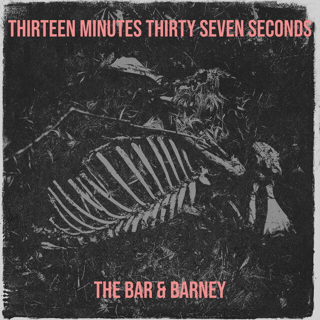 Thirteen Minutes Thirty Seven Seconds