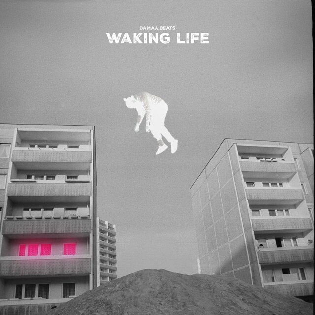 Waking Life