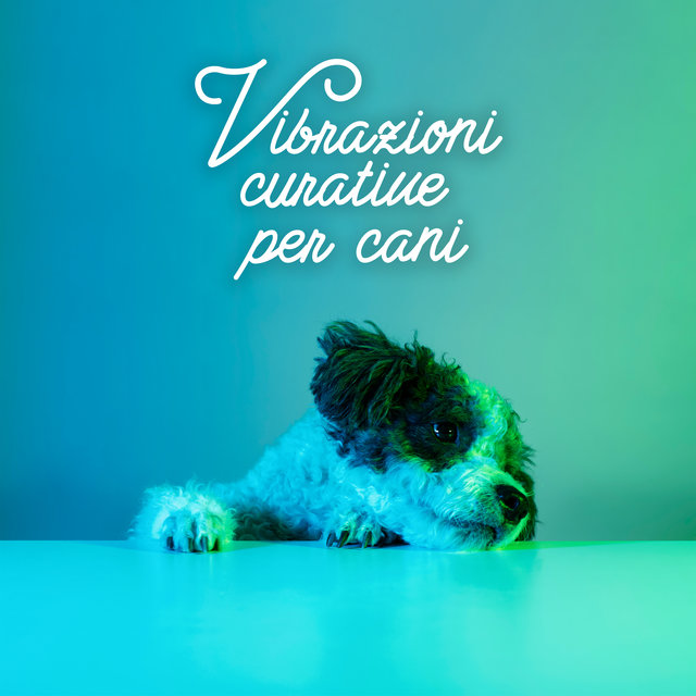 Vibrazioni curative per cani: Musicoterapia per calmare il cane, I cani dormono musica