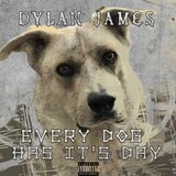 Every dog has its day