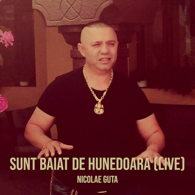Sunt Baiat De Hunedoara (Live)