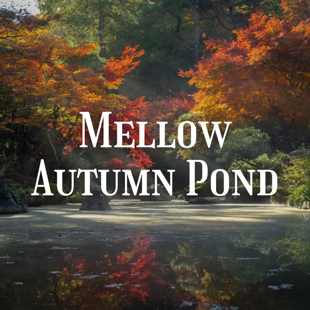 Mellow Autumn Pond
