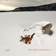 Cover art for album Nyesongar.no by Karl Seglem