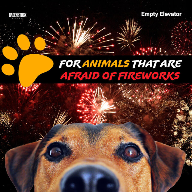 For Animals That Are Afraid of Fireworks
