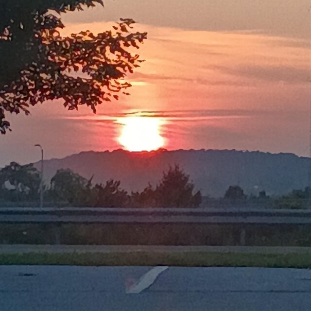 Natures Glory