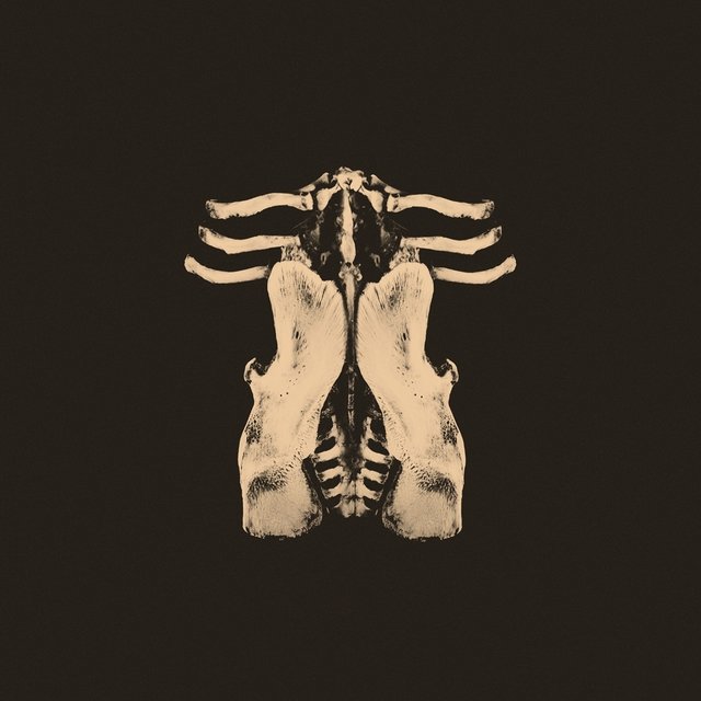 Pansements (Édition deluxe)