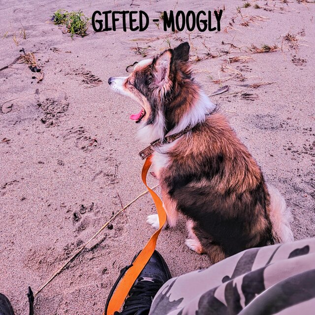 GIFTED