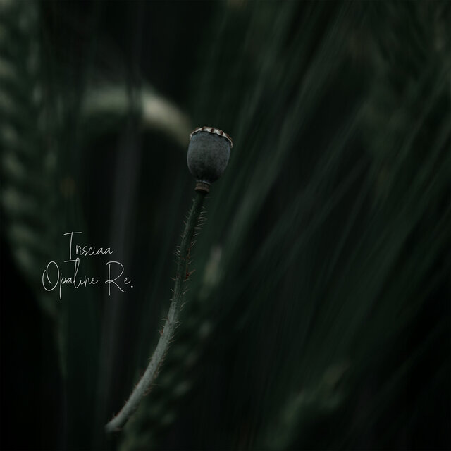 Listen to the Plant Thoughts