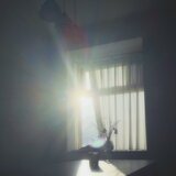 dream of