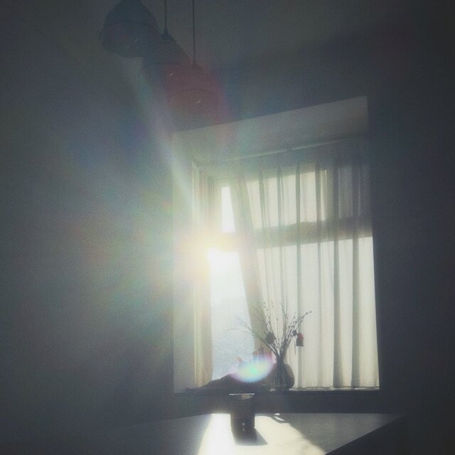 dream of