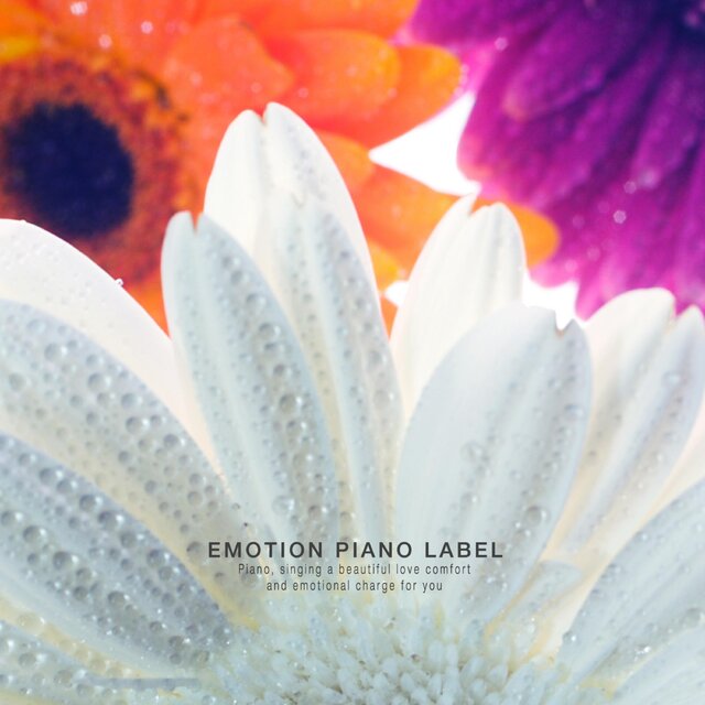 A sad emotional piano collection that wipes tears