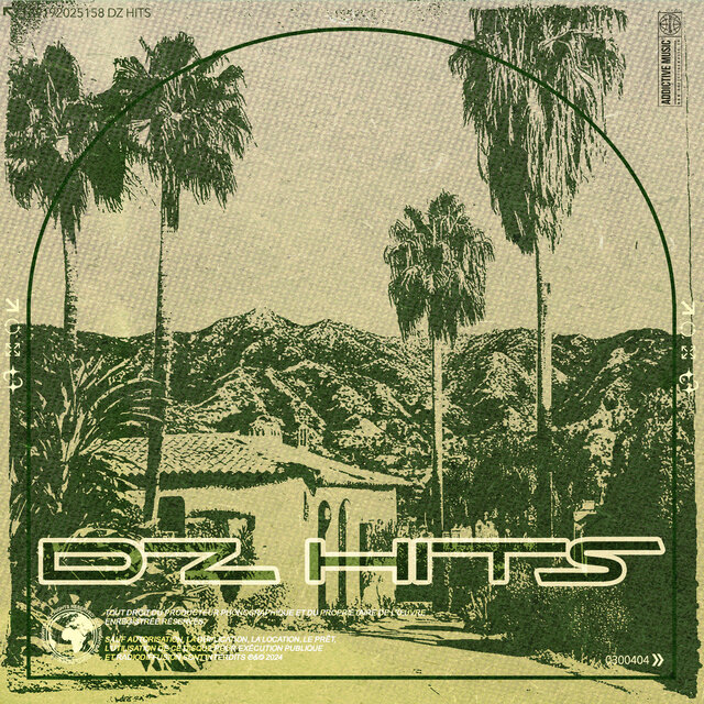 DZ Hits, Vol.2