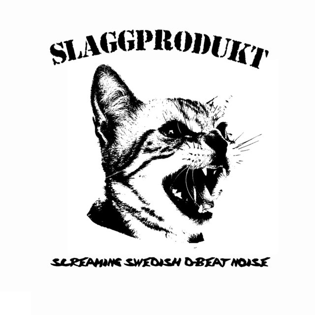 Screaming Swedish D-Beat Noise