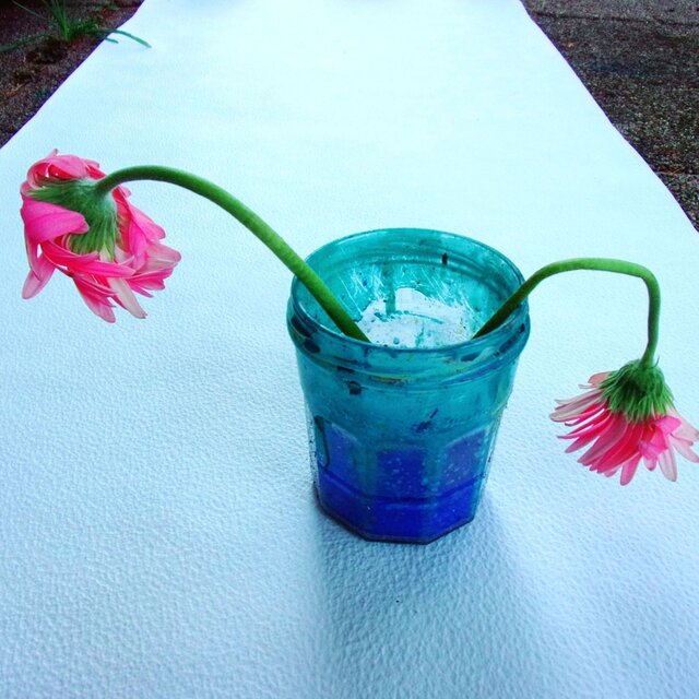 Wasser