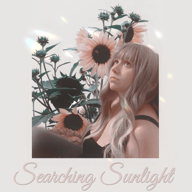 Searching Sunlight