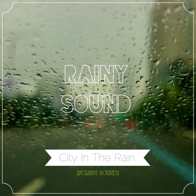 City In The Rain