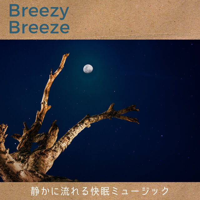 静かに流れる快眠ミュージック