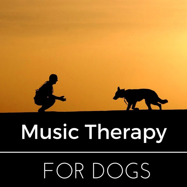 Music Therapy for Dogs, Pet Relaxation Sleep Aids, Stress Relief for Dogs and Cats, Complete Serenity
