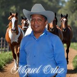 El Amor Es Lindo