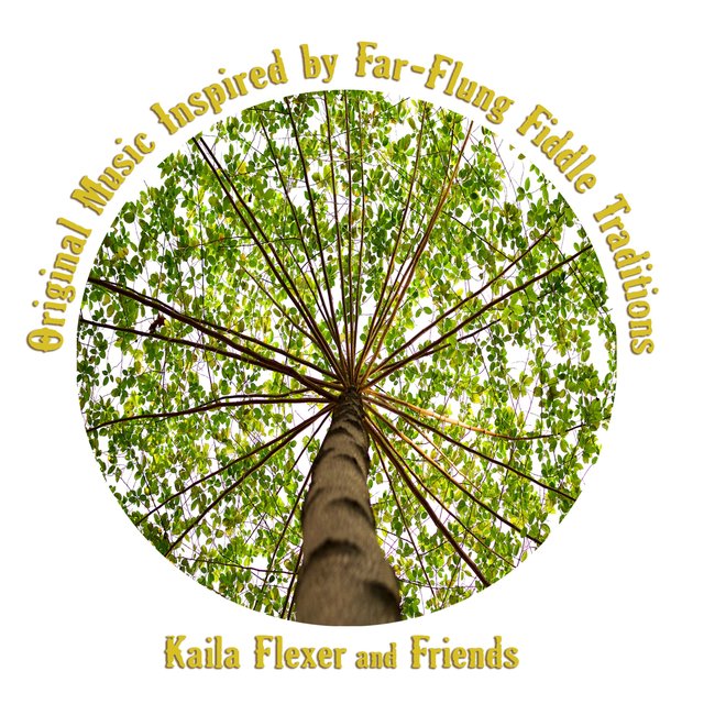 Kaila Flexer and Friends: Original Music Inspired by Far-Flung Fiddle Traditions