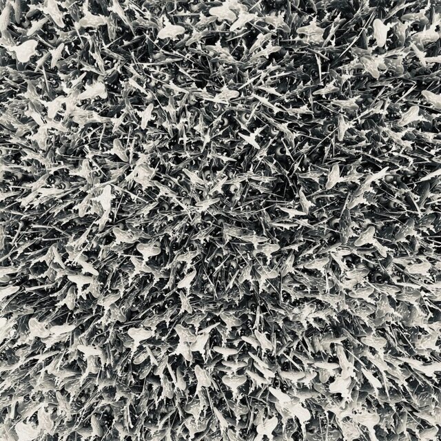 fissure