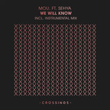 We Will Know (Instrumental Mix)