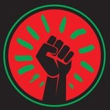 Black Fist