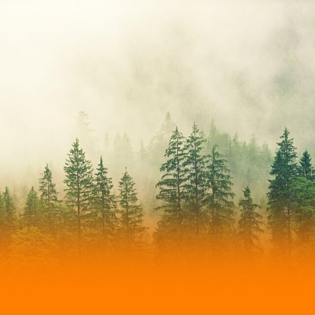 Calming Wellness Music For Anxiety Reduction And Inner Peace