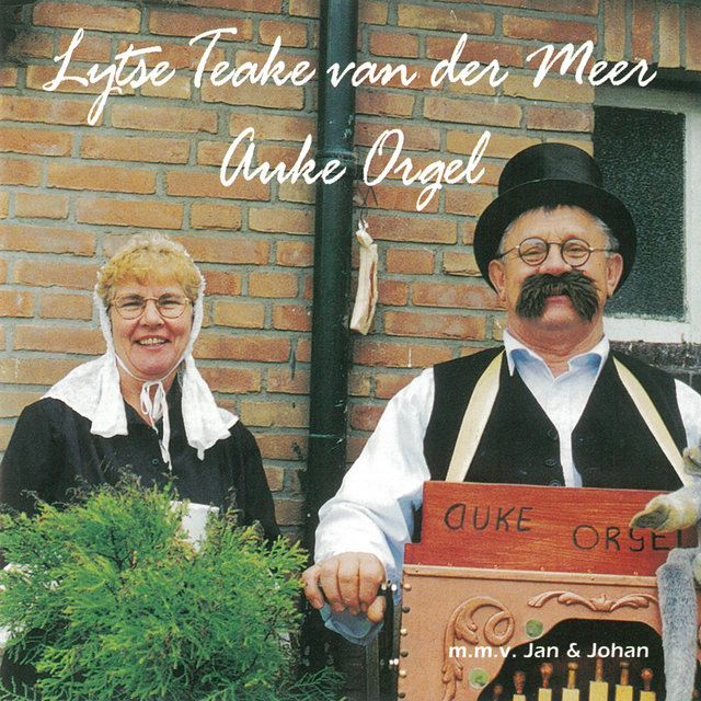 Lijtse Teake van der Meer, Auke Orgel
