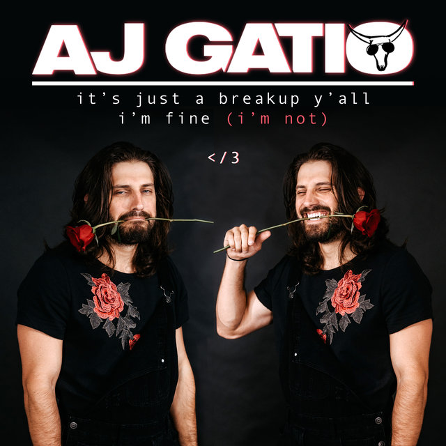 it's just a breakup y'all i'm fine (i'm not)