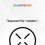 Exponent Prj: 