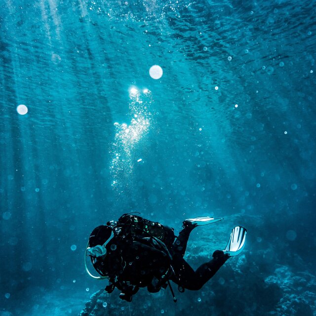 Deep Dive