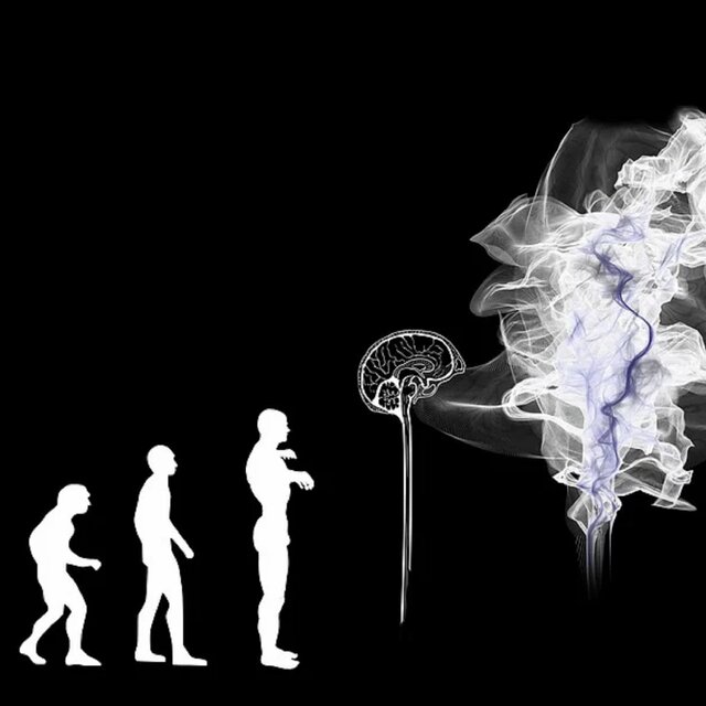 Evolution Is Dead