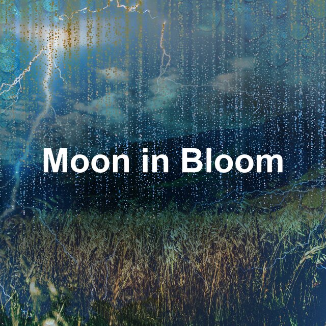 Moon in Bloom