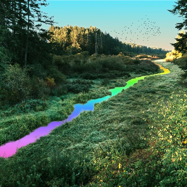 Quantum Foam