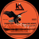 Aguila Del Monte (Original Mix)