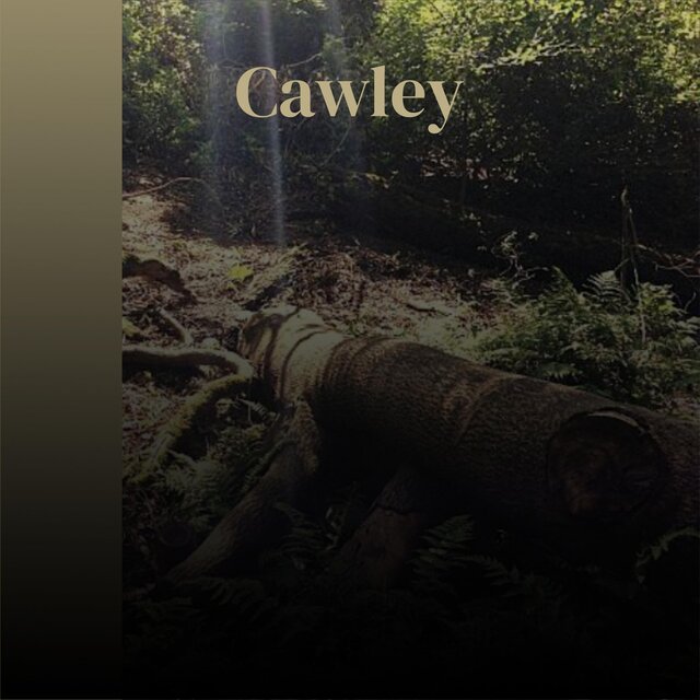 Cawley