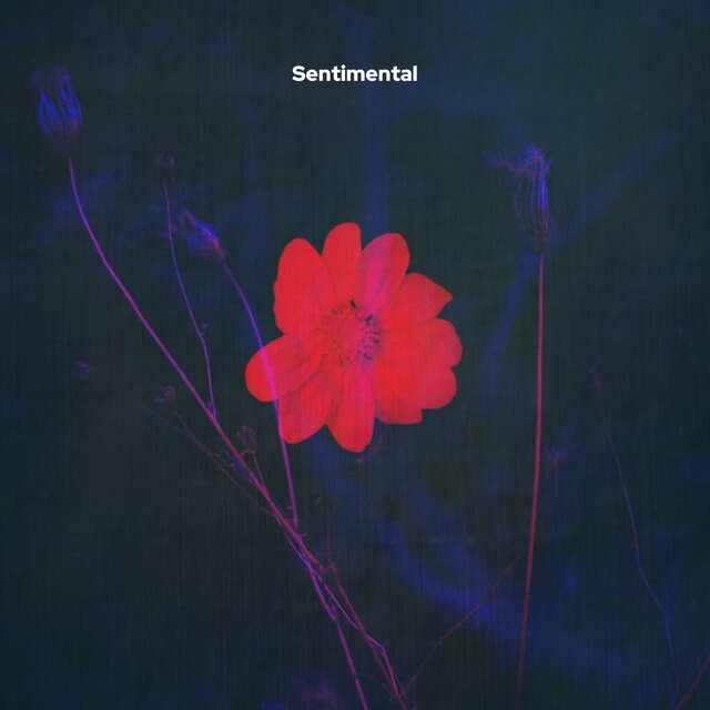Sentimental