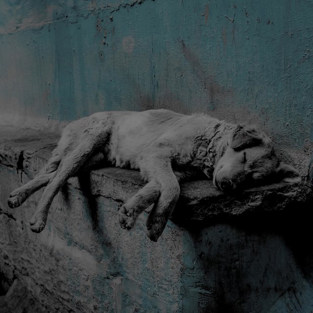 Calming Sleep: Volume 2