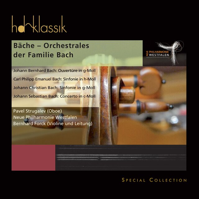 Bäche - Orchestrales der Familie Bach