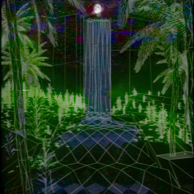 Virtual Rainforest