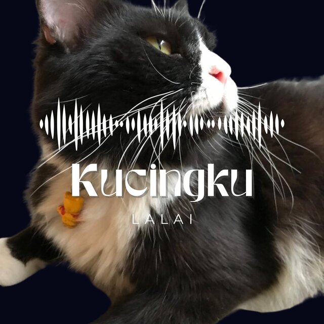 Kucingku