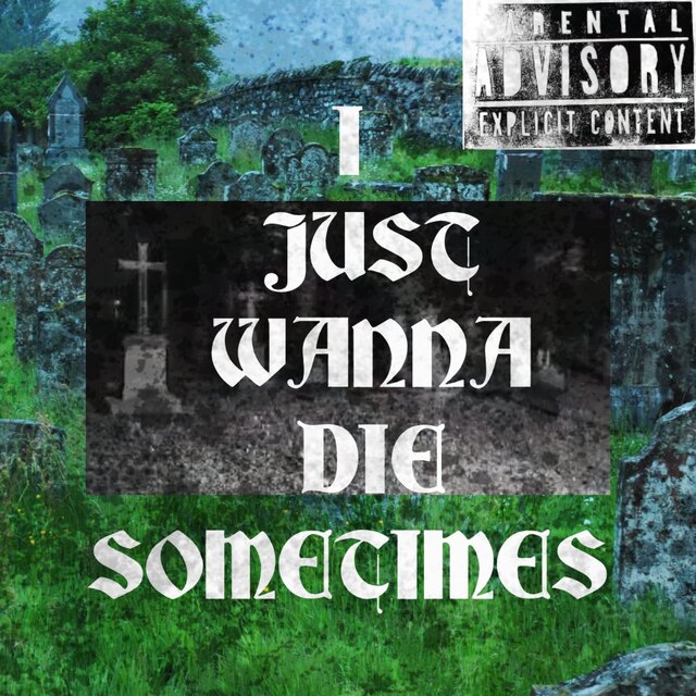 i just wanna die sometimes