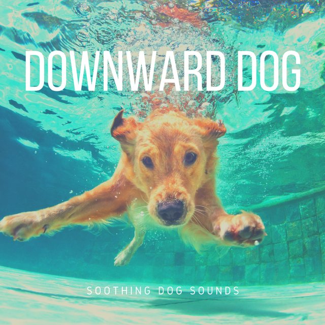 Downward Dog